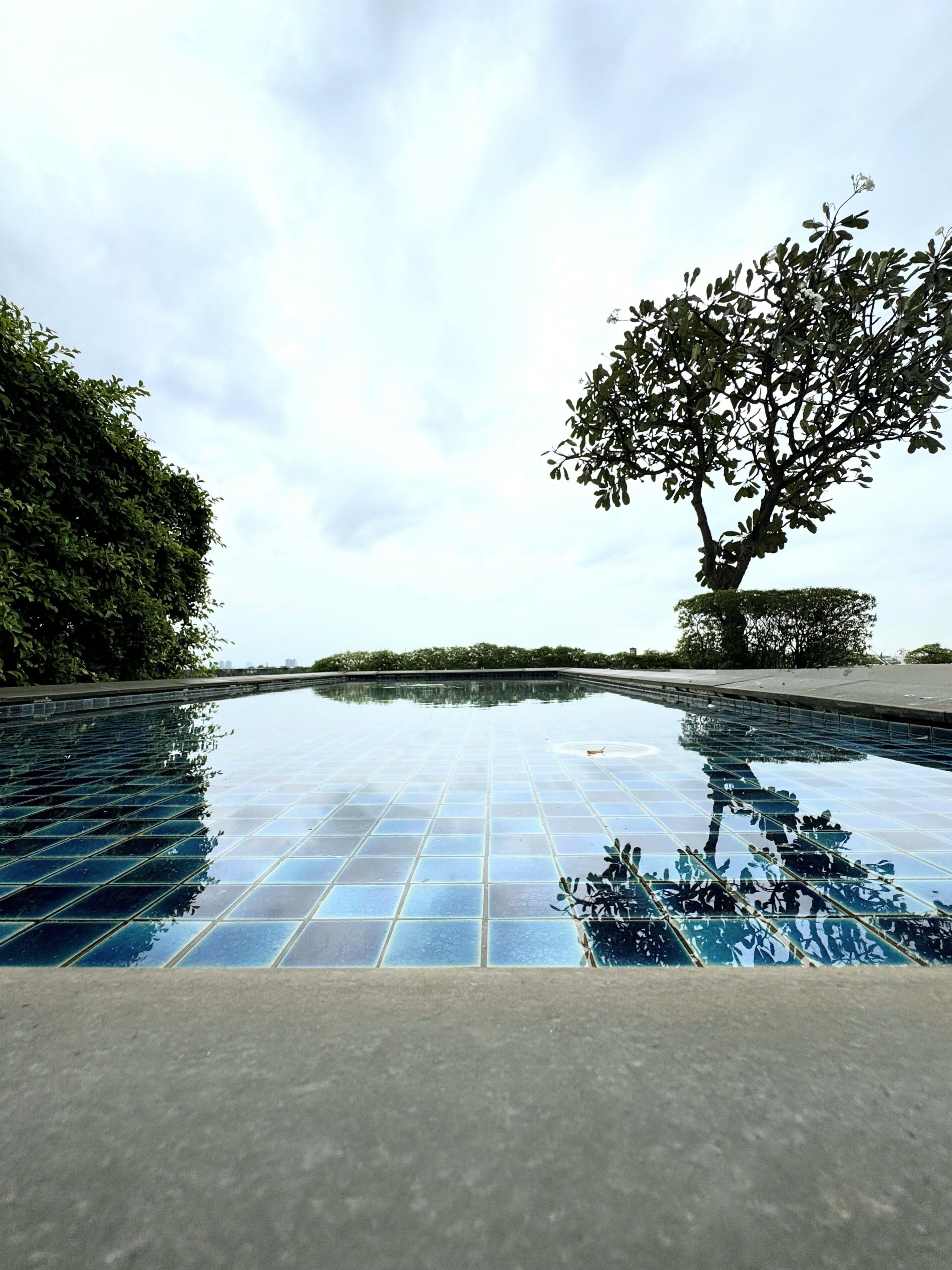 The Pano Rama 3