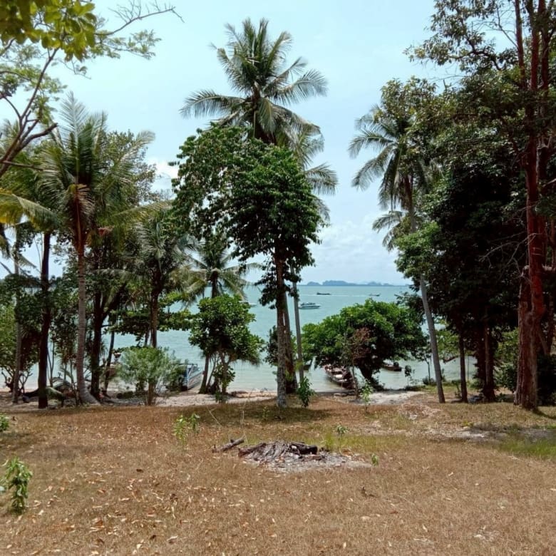 44 Rai land near Ao Nang