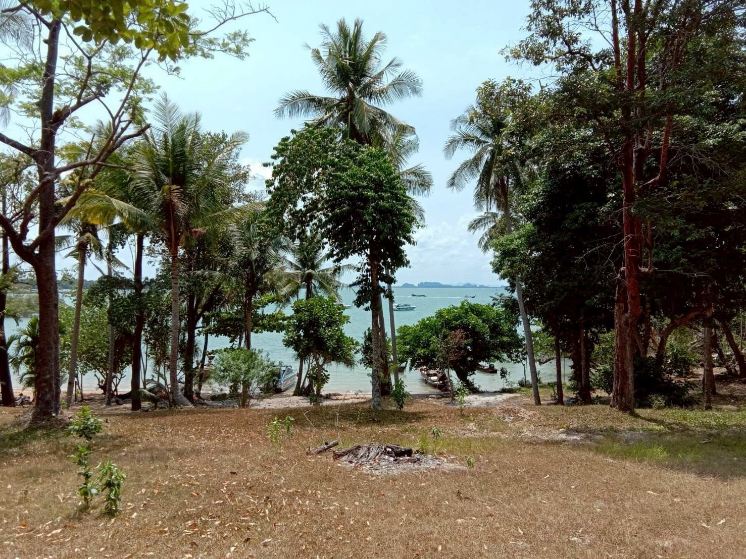 44 Rai land near Ao Nang