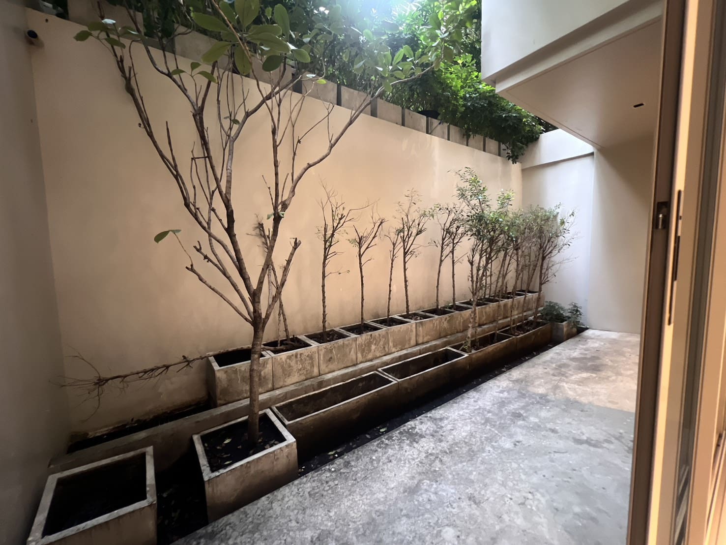 Craft Ploenchit