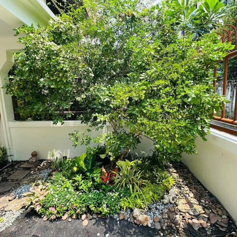 Single house Sukhumvit 31