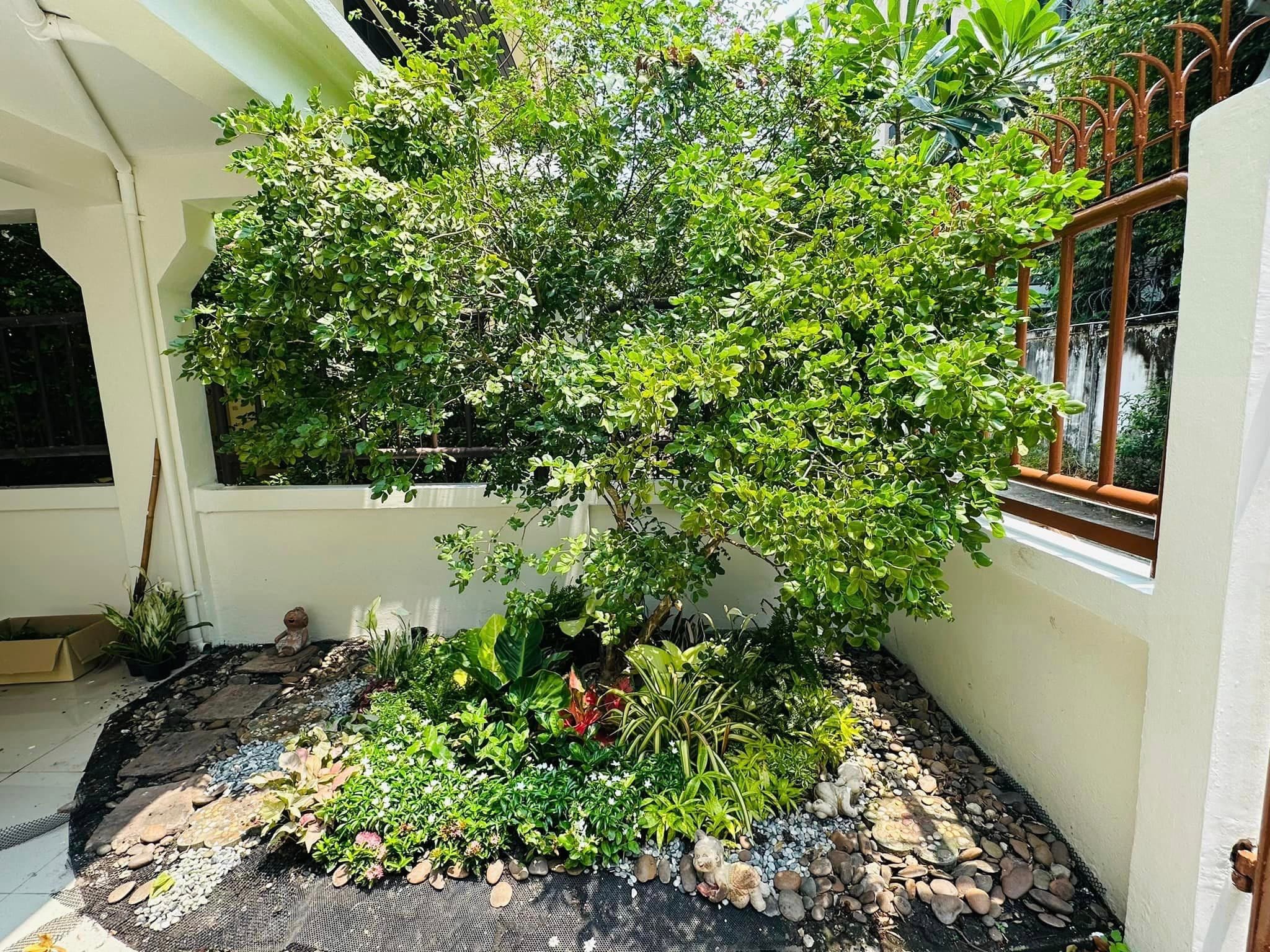 Single house Sukhumvit 31